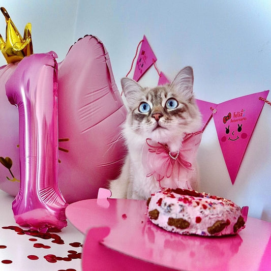 Pequenos Despedaçadores de Corações