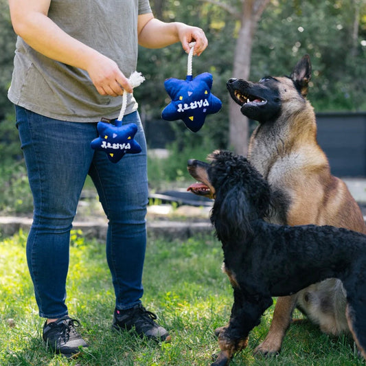 Balão de festa - Brinquedo