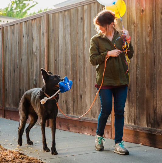 Balão de festa - Brinquedo