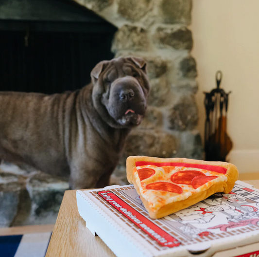 Pizza de Cachorrinho - Brinquedo