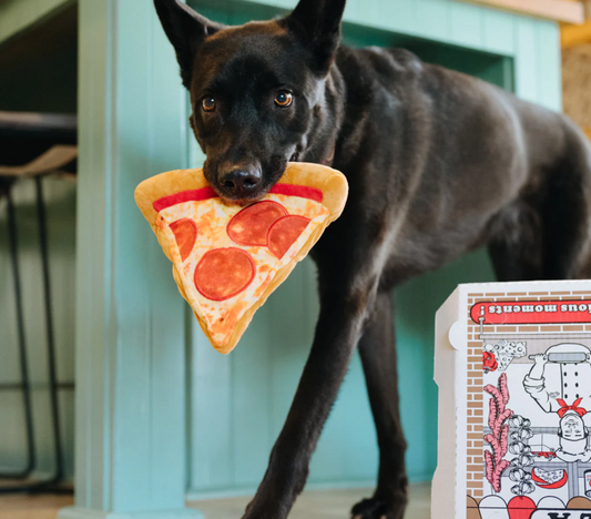 Pizza de Cachorrinho - Brinquedo
