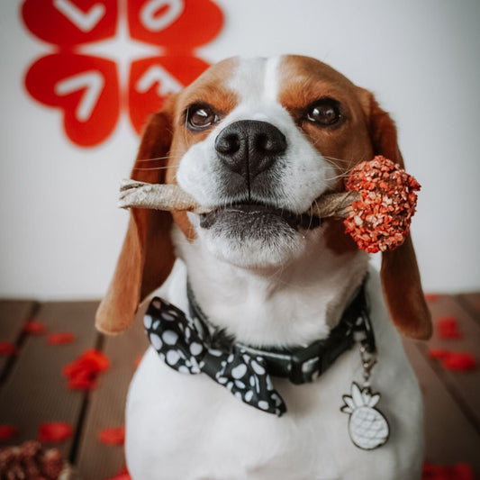 Chewy-Pop do Dia dos Namorados