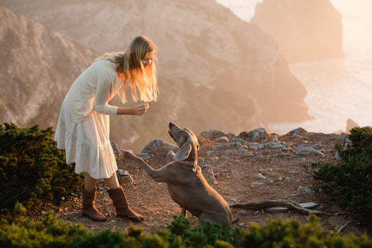 The dangers of fishing hooks for our pets