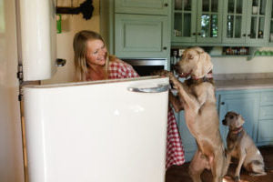 Unhealthy ingredients in Pet Food