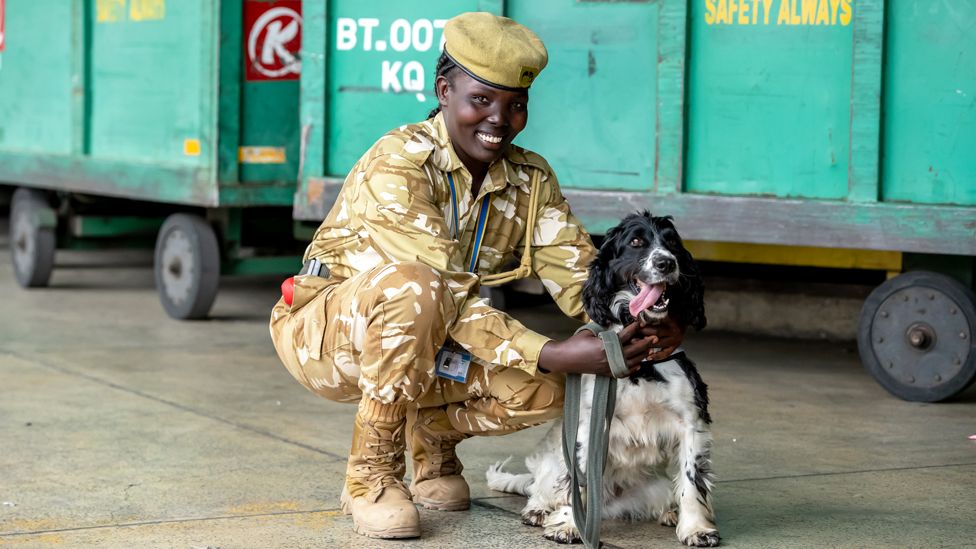 The new dog heros