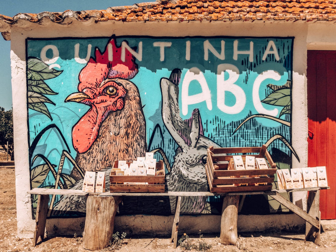 Quintinha ABC