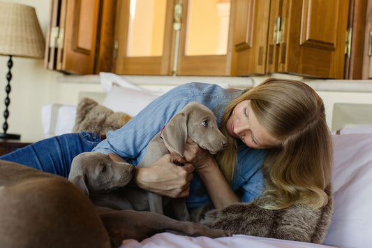 Do dogs know when we are feeling...BLUE?
