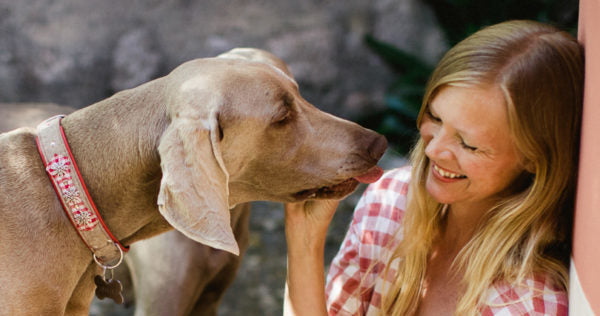 THE BENEFITS OF GETTING LICKED (by your dog!)