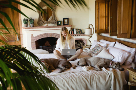 How to keep our pets happy & safe