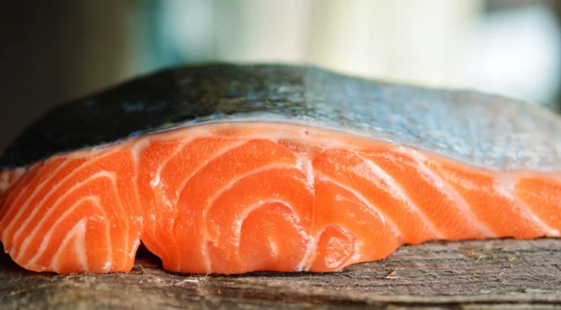 Salmon Oil