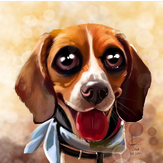 Cooka's Christmas Wish List