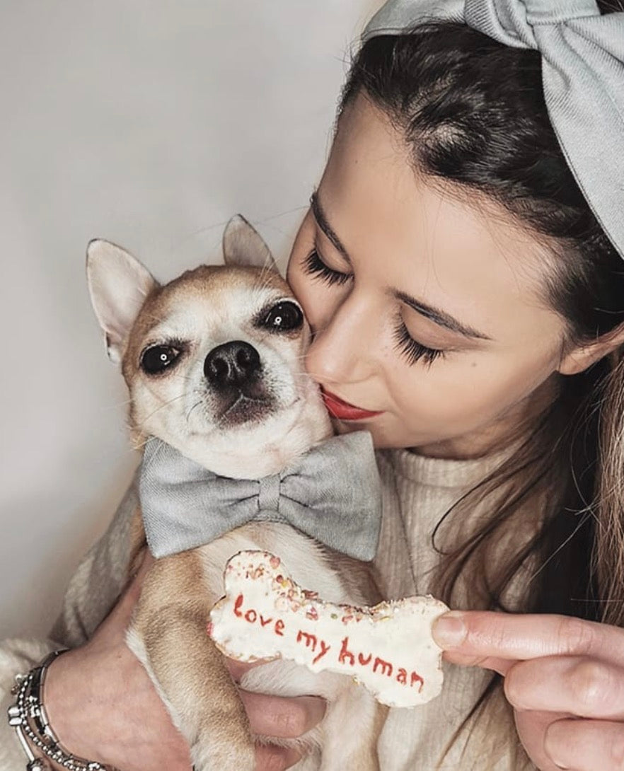 Cuteness Overload