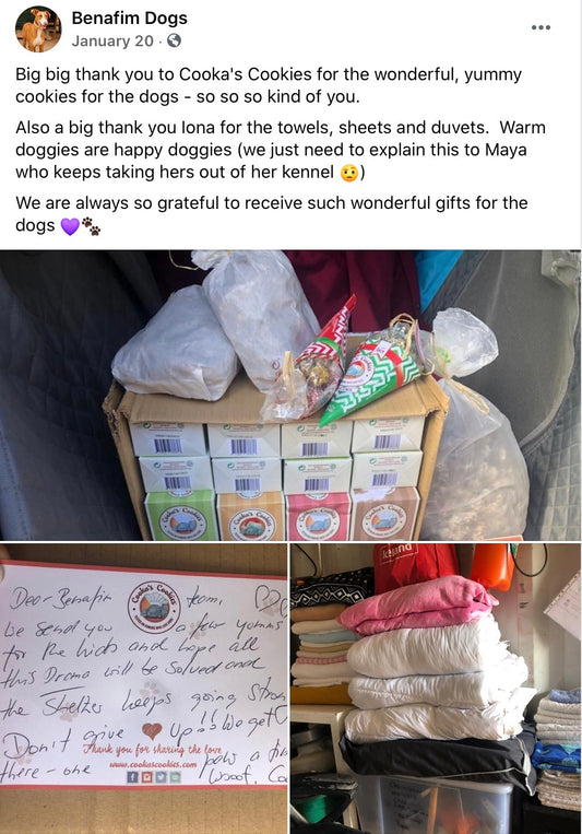 Benafim Dogs need help