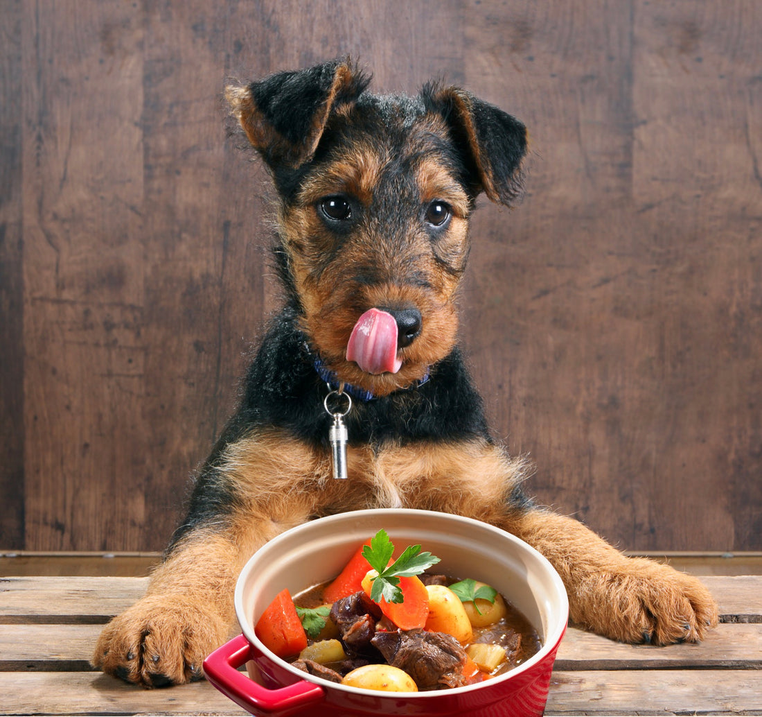Human-grade dogfood