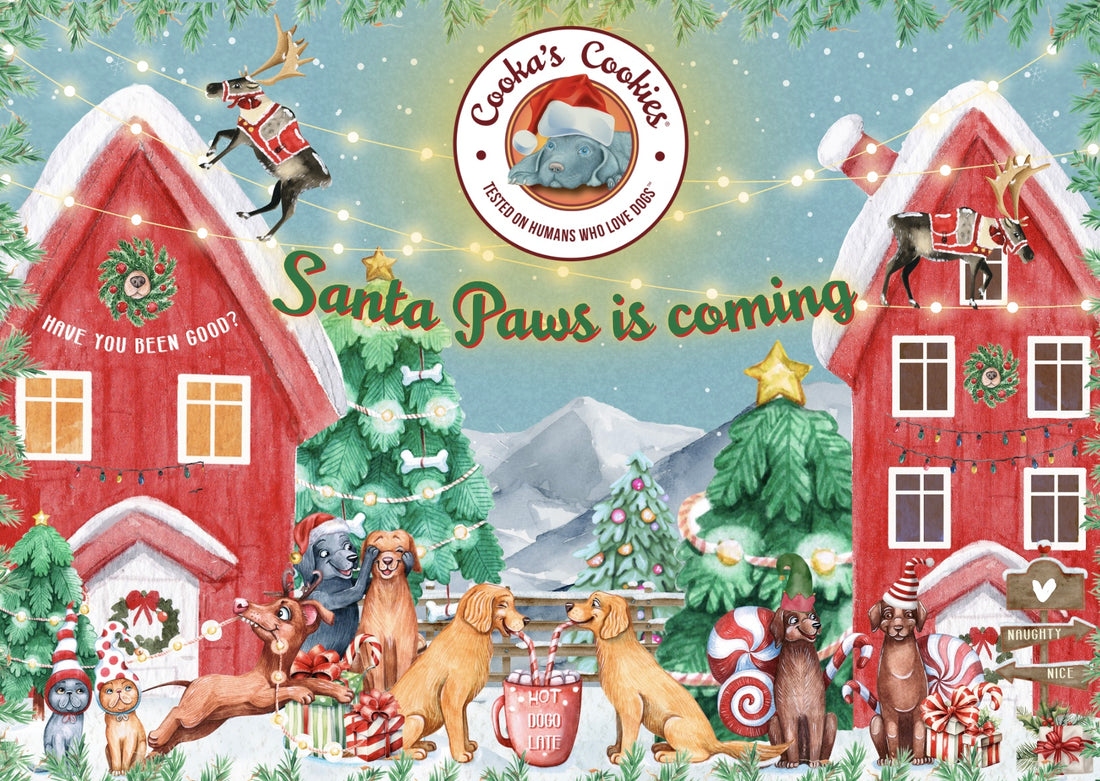 Christmas Calendar
