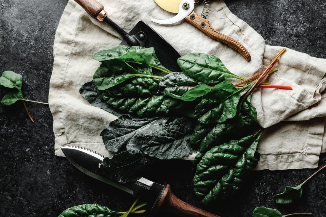 Spinach