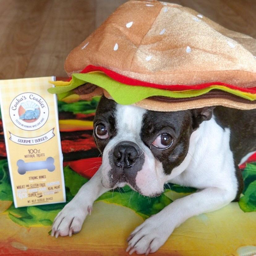 Gourmet Burger