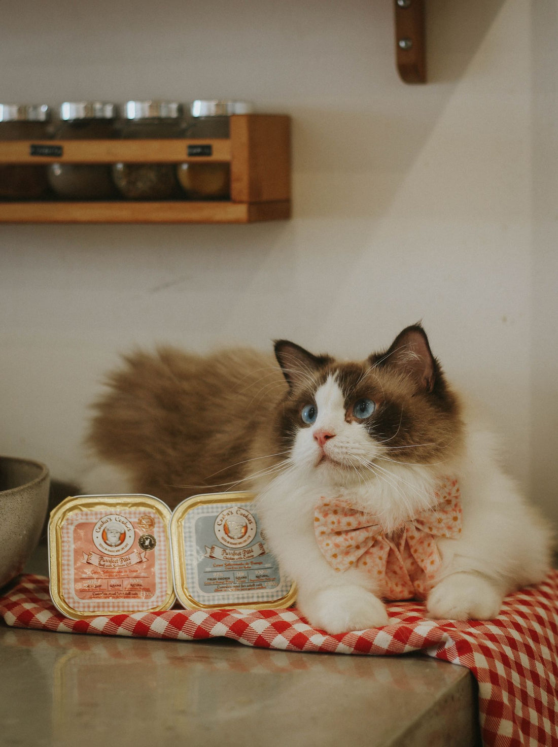 Purrrfect Pâté - Chicken with catnip