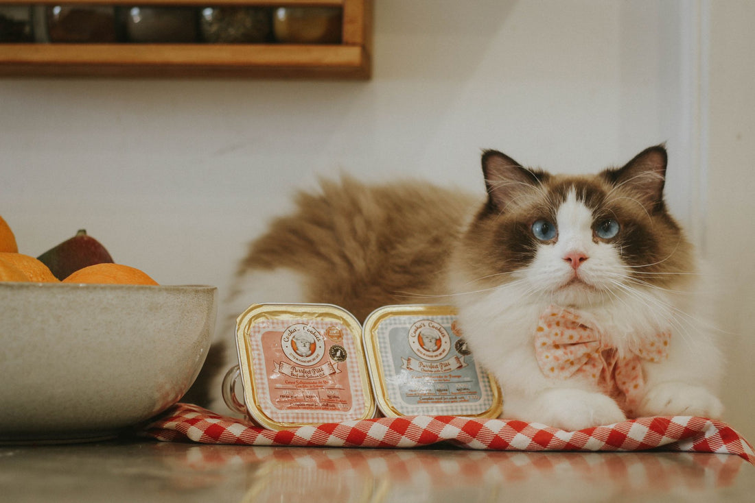 Purrfect Pate - Beef With Salmon Oil