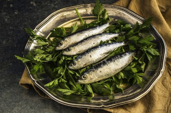 Sardine Cookies