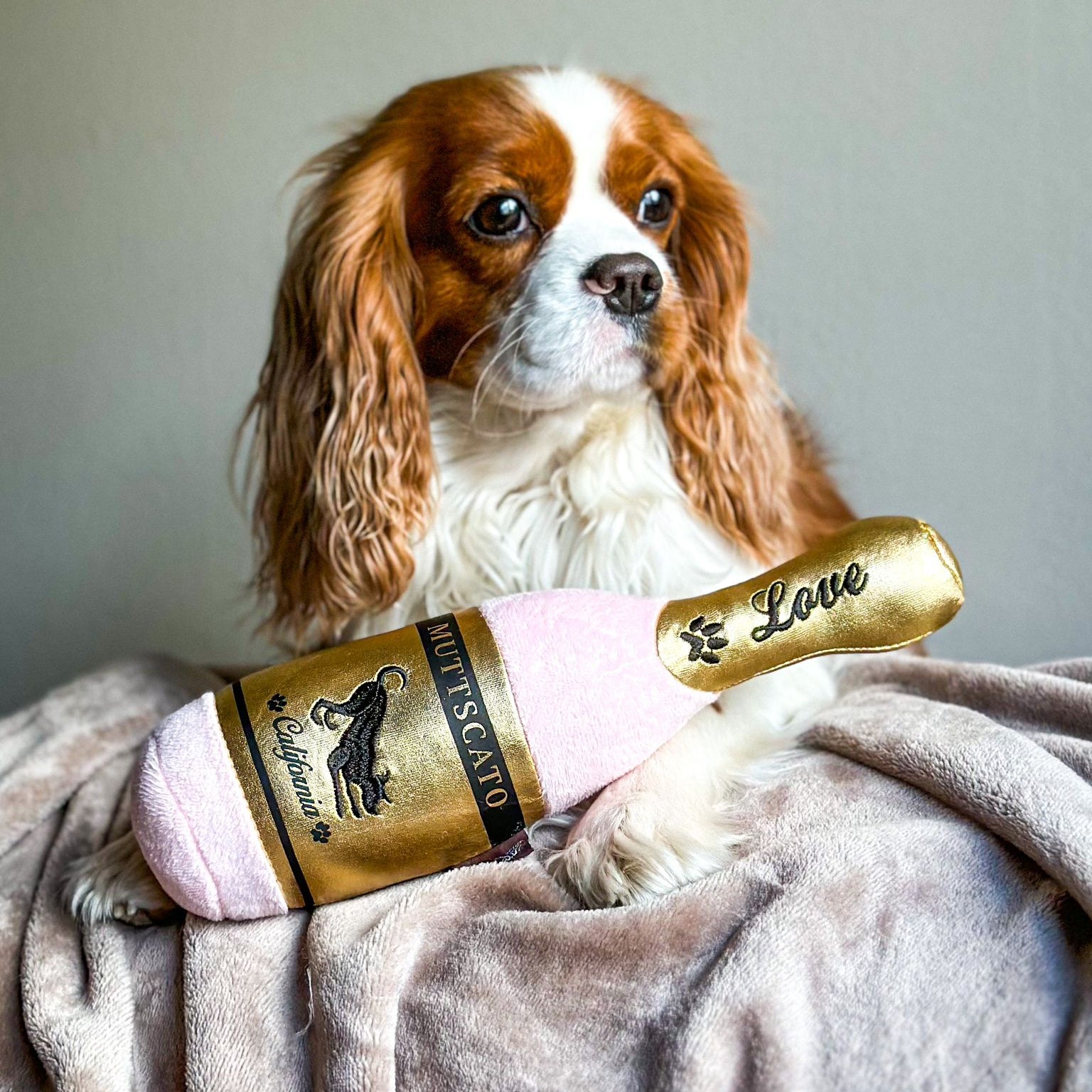 Amor Borbulhante - Brinquedo Muttscato