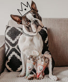 Bock loves Turkey Kisses