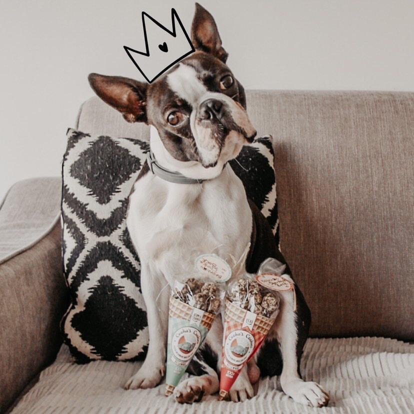 Bock loves Turkey Kisses