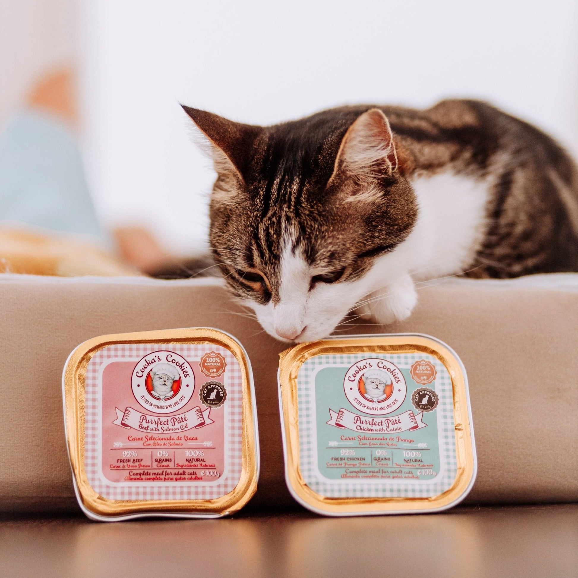 Pasta de frango para gatos