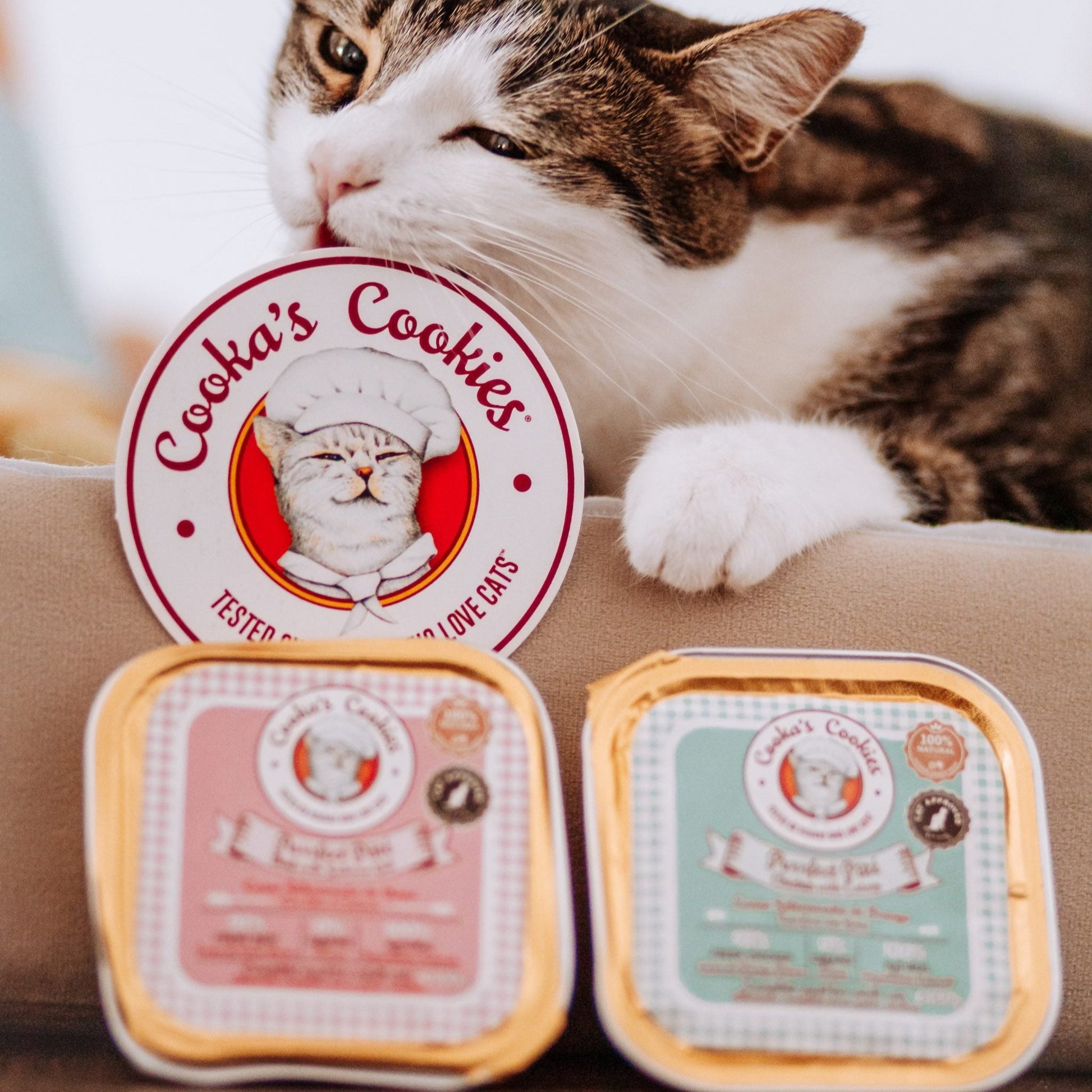 Pasta de frango para gatos