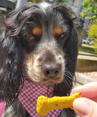 Maggie loves Curcuma