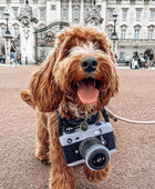 Influenciador - Câmara - Brinquedo