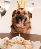 Bolo de ossos com donuts