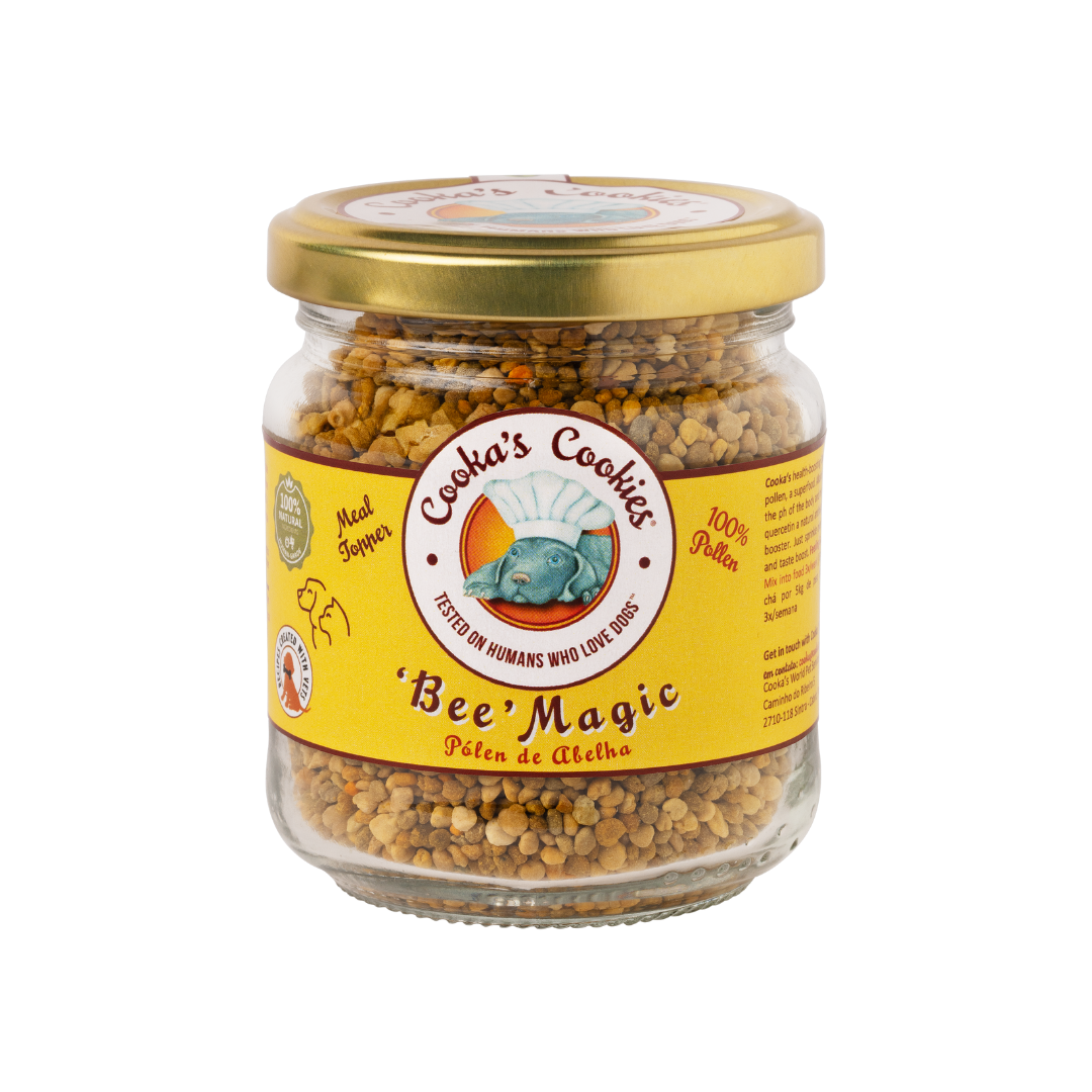 Bee - Magic