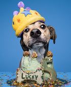 Coroa de Festa - Brinquedo