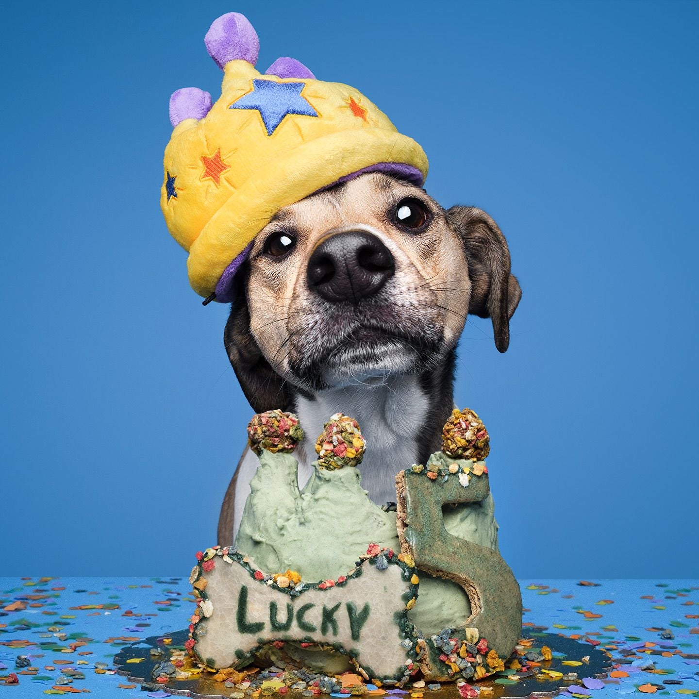 Coroa de Festa - Brinquedo