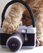 Influenciador - Câmara - Brinquedo