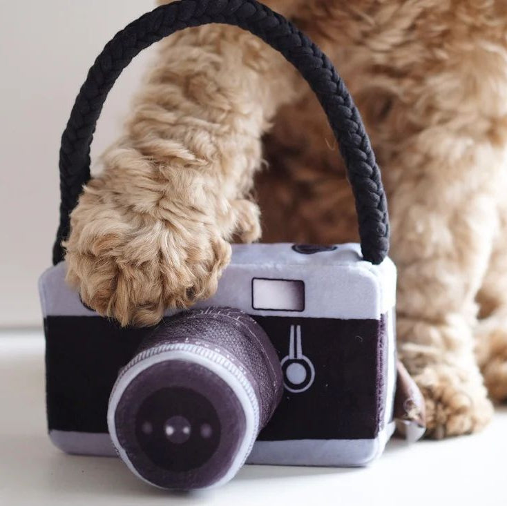 Influenciador - Câmara - Brinquedo