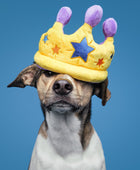 Coroa de Festa - Brinquedo