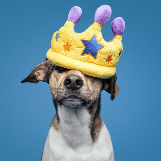 Coroa de Festa - Brinquedo