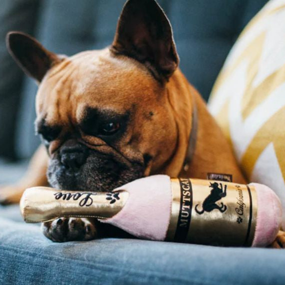 Amor Borbulhante - Brinquedo Muttscato