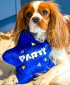 Balão de festa - Brinquedo