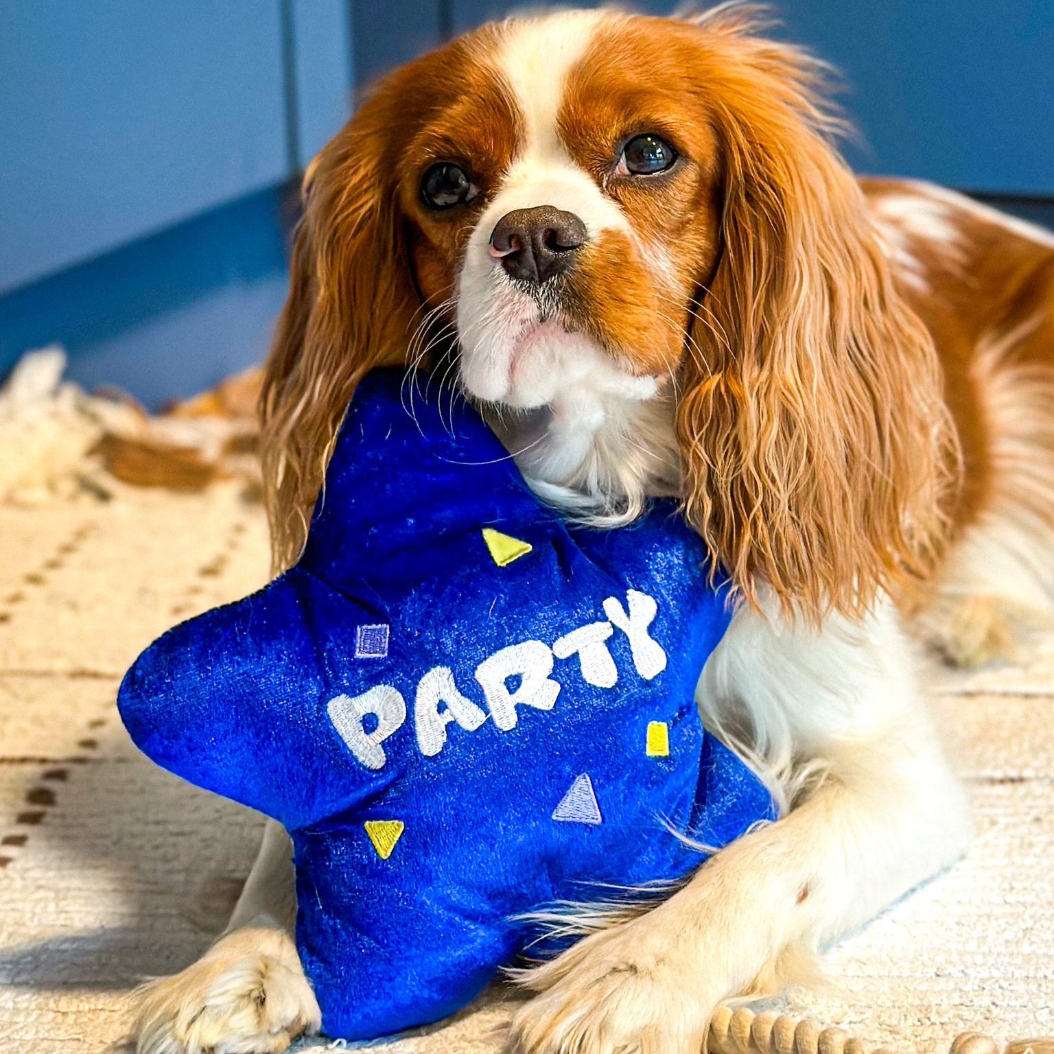 Balão de festa - Brinquedo