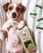 Gucci adores Spirulina