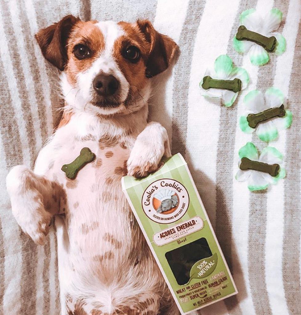 Gucci adores Spirulina