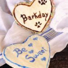 Caixa Maravilha – Barkday