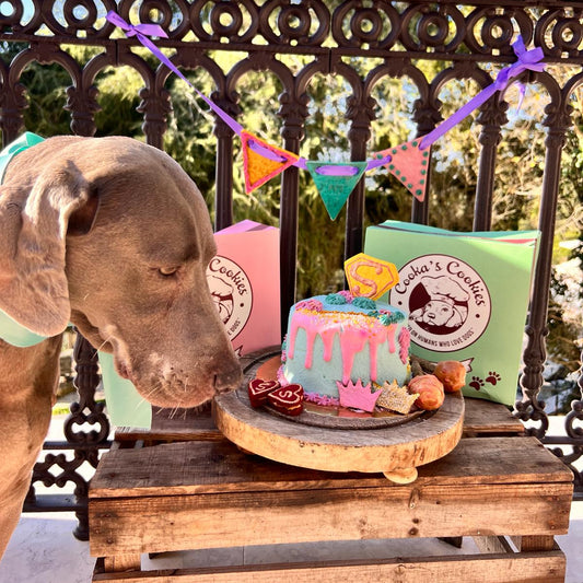 Bolo em forma de osso