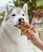 Doggie Pizza