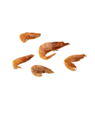Shrimp Nibbles