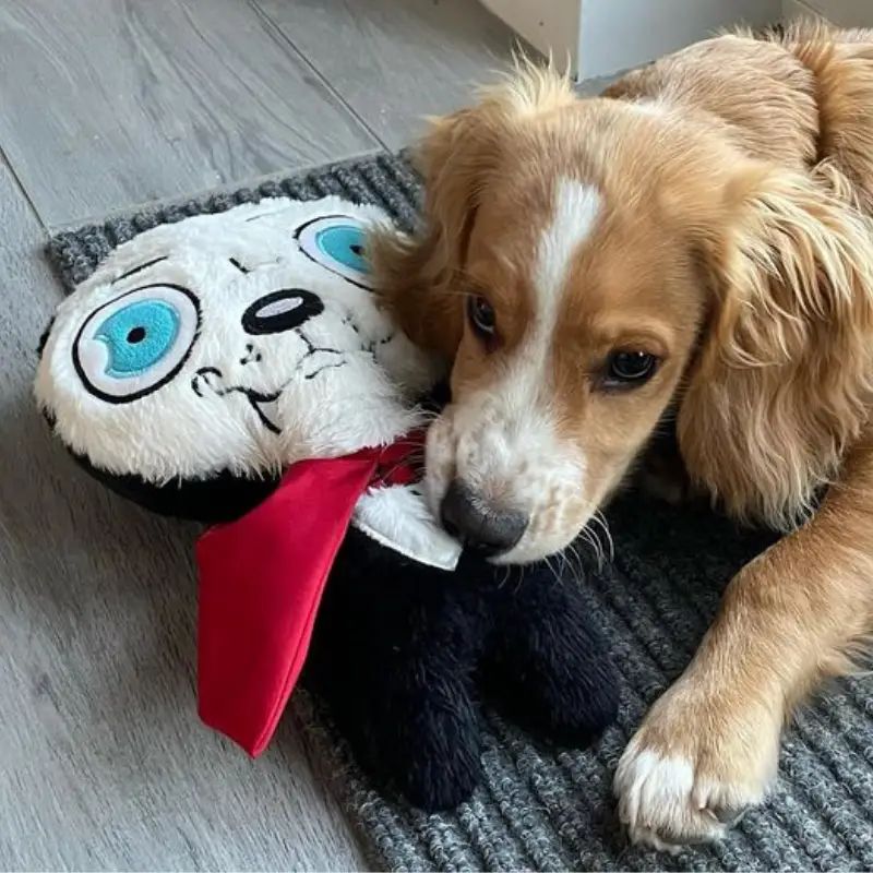 Halloween - Count Dogcula Dog Toy