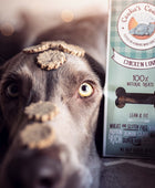 Ayu dreams of Chicken Love